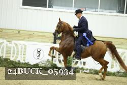 24BUCK_05934 thumbnail