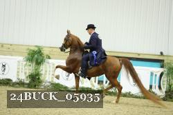 24BUCK_05935 thumbnail