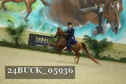 24BUCK_05936 thumbnail