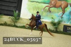 24BUCK_05937 thumbnail