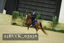 24BUCK_05938 thumbnail