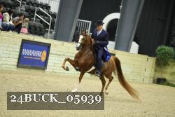 24BUCK_05939 thumbnail