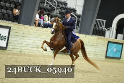 24BUCK_05940 thumbnail