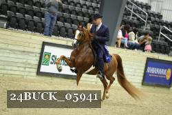 24BUCK_05941 thumbnail