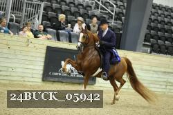24BUCK_05942 thumbnail