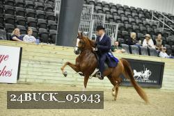 24BUCK_05943 thumbnail