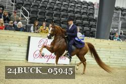 24BUCK_05945 thumbnail