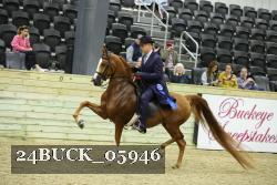 24BUCK_05946 thumbnail