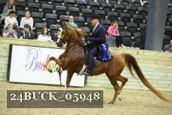 24BUCK_05948 thumbnail