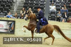 24BUCK_05949 thumbnail