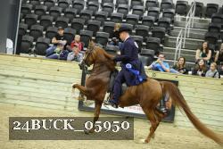 24BUCK_05950 thumbnail