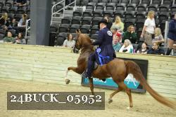 24BUCK_05952 thumbnail