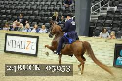 24BUCK_05953 thumbnail