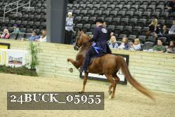 24BUCK_05955 thumbnail