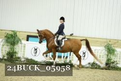 24BUCK_05958 thumbnail