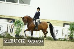 24BUCK_05959 thumbnail
