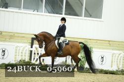 24BUCK_05960 thumbnail