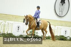 24BUCK_05962 thumbnail