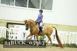 24BUCK_05963 thumbnail