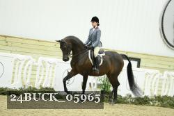 24BUCK_05965 thumbnail