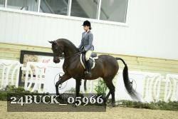 24BUCK_05966 thumbnail