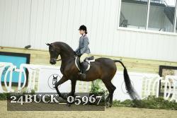 24BUCK_05967 thumbnail
