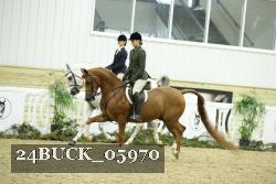 24BUCK_05970 thumbnail