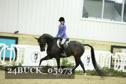 24BUCK_05973 thumbnail