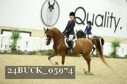24BUCK_05974 thumbnail