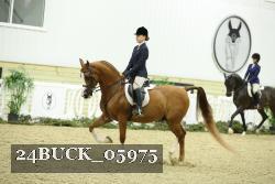 24BUCK_05975 thumbnail