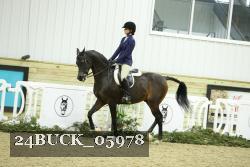 24BUCK_05978 thumbnail