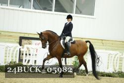 24BUCK_05982 thumbnail