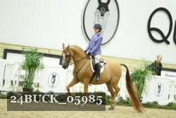 24BUCK_05985 thumbnail
