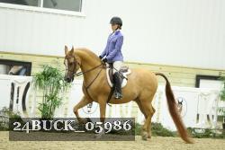 24BUCK_05986 thumbnail