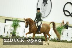 24BUCK_05992 thumbnail