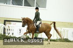 24BUCK_05993 thumbnail