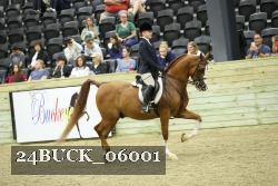 24BUCK_06001 thumbnail