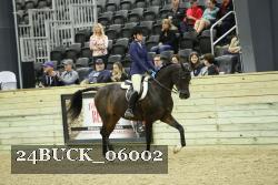 24BUCK_06002 thumbnail
