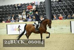 24BUCK_06004 thumbnail