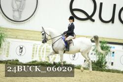 24BUCK_06020 thumbnail