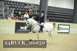 24BUCK_06030 thumbnail