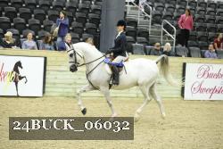24BUCK_06032 thumbnail