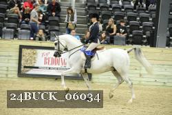 24BUCK_06034 thumbnail