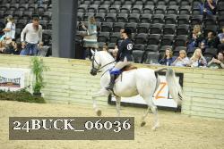 24BUCK_06036 thumbnail
