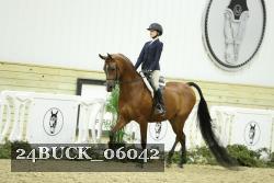 24BUCK_06042 thumbnail