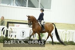 24BUCK_06043 thumbnail