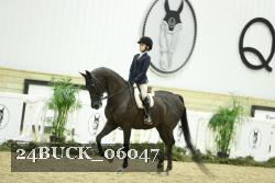 24BUCK_06047 thumbnail