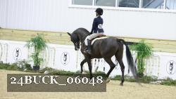 24BUCK_06048 thumbnail