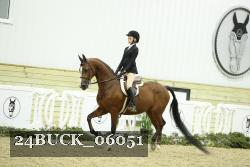 24BUCK_06051 thumbnail