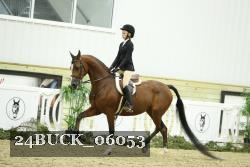24BUCK_06053 thumbnail